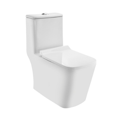 Picture of Rimless Single Piece WC