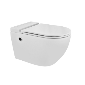 Picture of Tankless Wall Hung WC